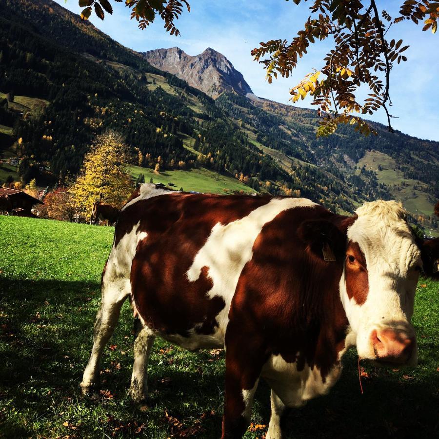 Chalet Franzi - Das Family-Ferienhaus Mit Gratiseintritt Ins Solarbad Dorfgastein Dış mekan fotoğraf