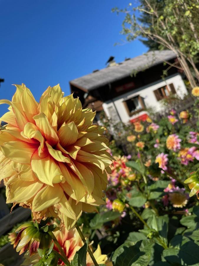 Chalet Franzi - Das Family-Ferienhaus Mit Gratiseintritt Ins Solarbad Dorfgastein Dış mekan fotoğraf