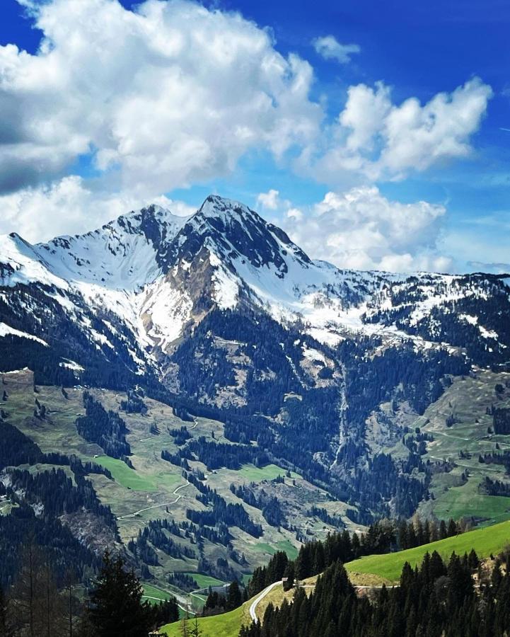 Chalet Franzi - Das Family-Ferienhaus Mit Gratiseintritt Ins Solarbad Dorfgastein Dış mekan fotoğraf