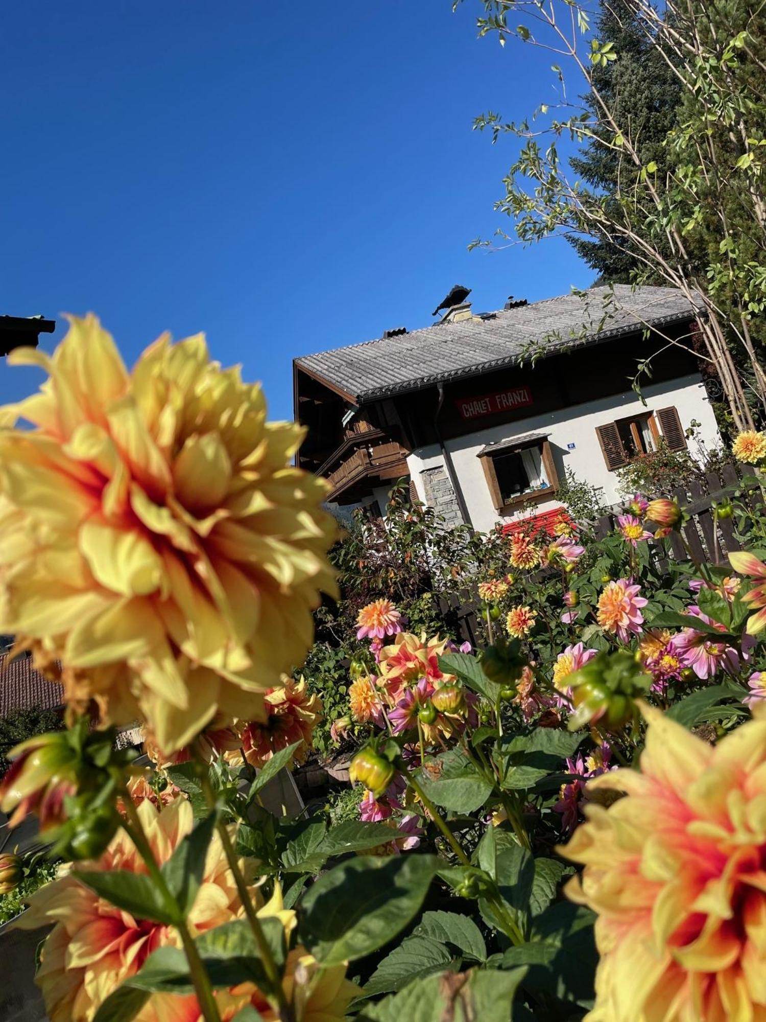 Chalet Franzi - Das Family-Ferienhaus Mit Gratiseintritt Ins Solarbad Dorfgastein Dış mekan fotoğraf
